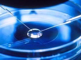 上海一代试管移植冻胚的成功几率有多少？