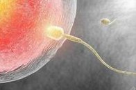 重度宫腔粘连在横州市做试管婴儿靠谱吗，重度宫腔粘连试管婴儿成功率多少！