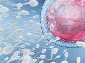 2026年想去武威市做试管婴儿需要准备哪些事？详细收费明细一览