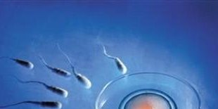 2026杭州试管婴儿医院哪里做的比较好？这几家医院不错!