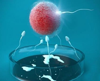 2026济南三代试管婴儿费用要多少钱？10万块够吗？